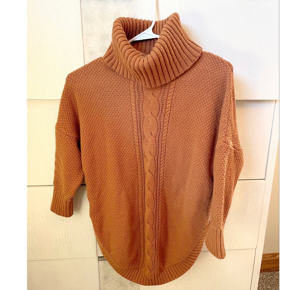 Express Rust Orange Turtleneck Sweater